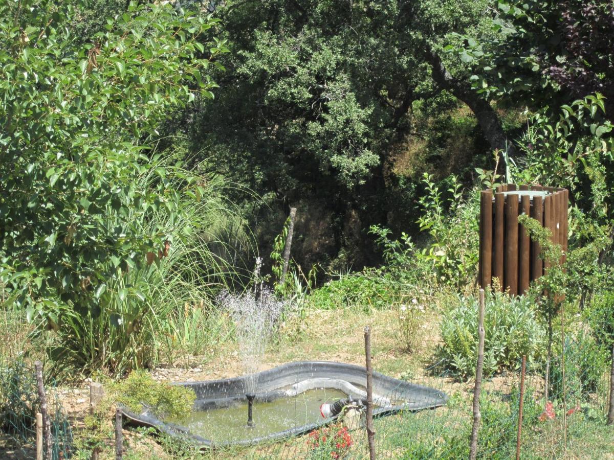 Agriturismo Grotta Dell'Eremita Albano di Lucania Bagian luar foto